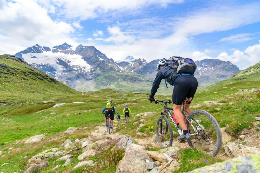 Réparation VTT près de Avignonet-Lauragais
